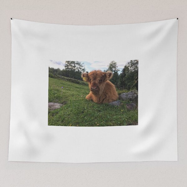 Item preview, Scottish Highland Cattle Calf 1798 designed and sold by SaarelaHighland.