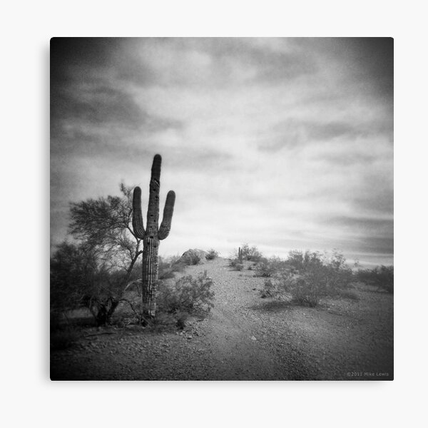 A Long Time After Metal Print