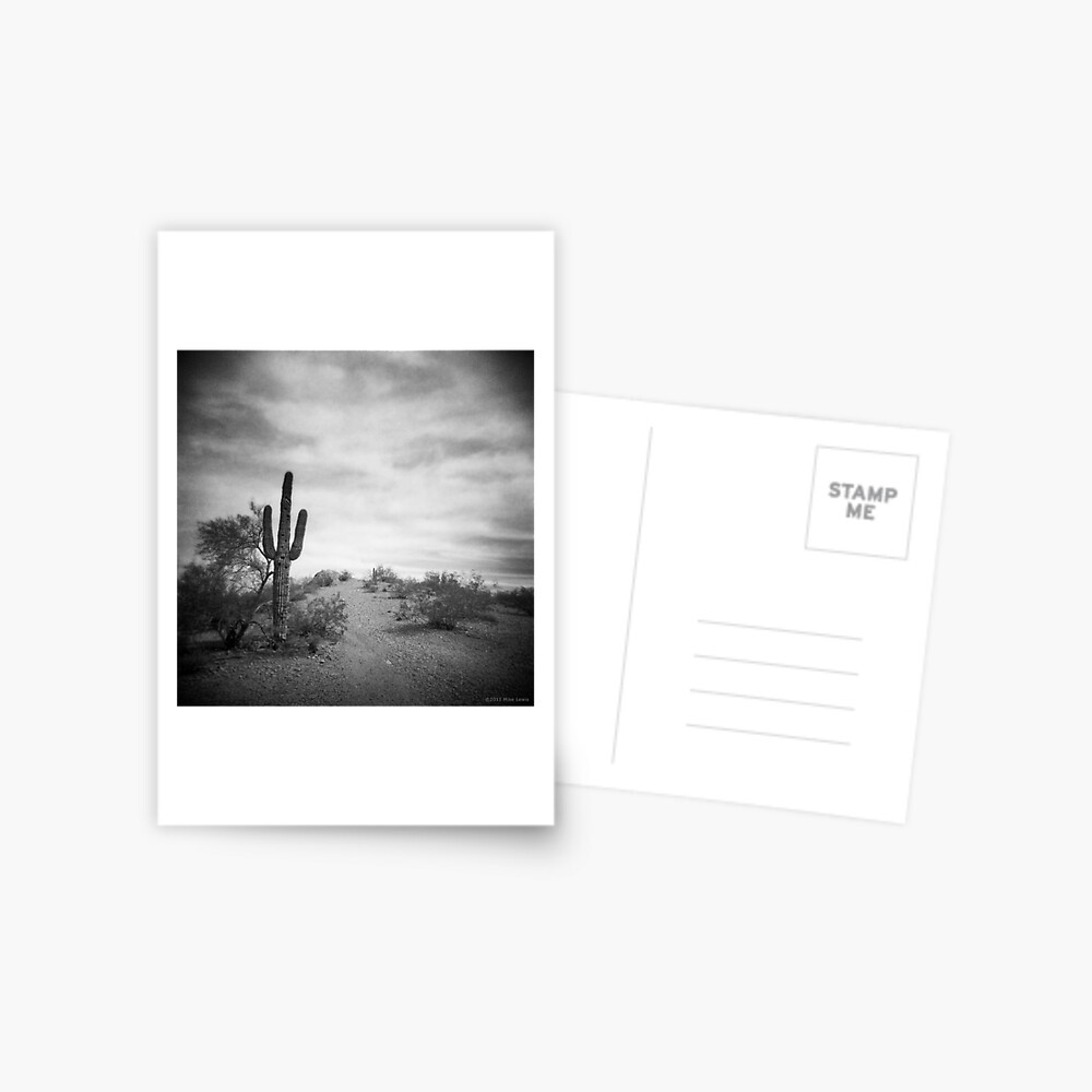 A Long Time After Postcard