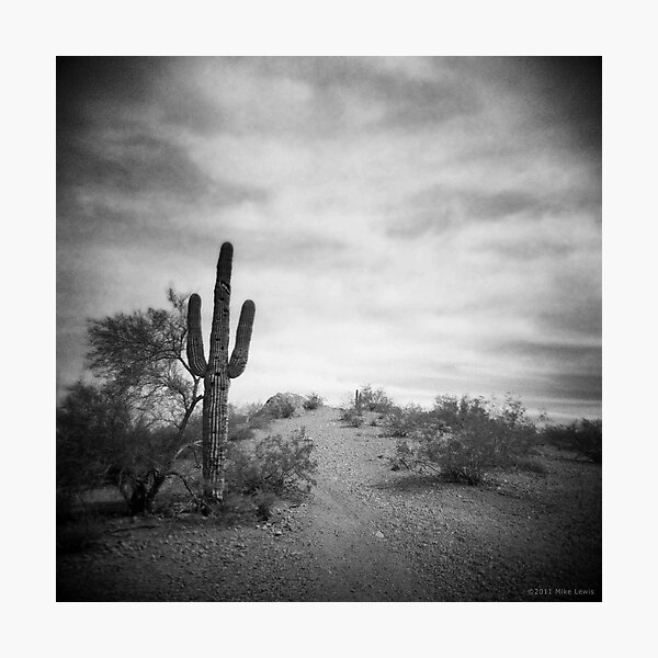 A Long Time After Photographic Print