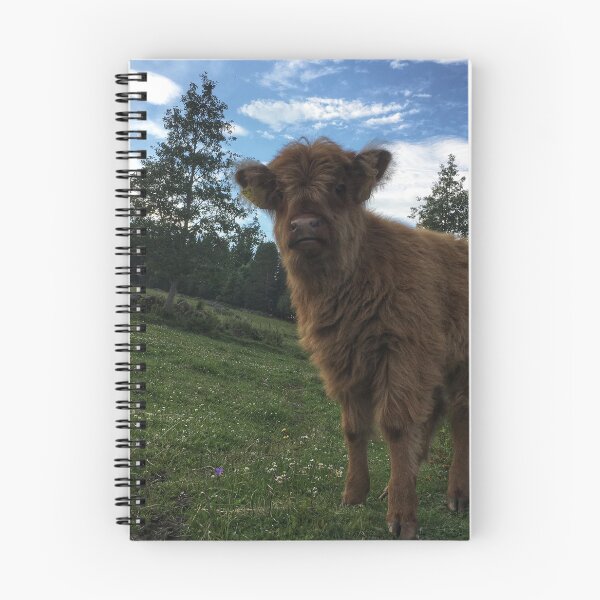 Item preview, Scottish Highland Cattle Calf 1799 designed and sold by SaarelaHighland.