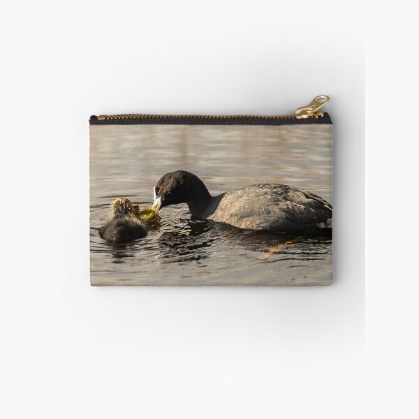 Item preview, Mother & Baby Coot Feeding designed and sold by Alius Imago.