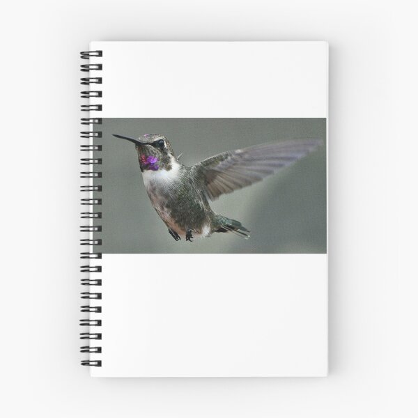 Item preview, BEAUTIFUL HUMMINGBIRD IN FLIGHT designed and sold by JAYMILO.