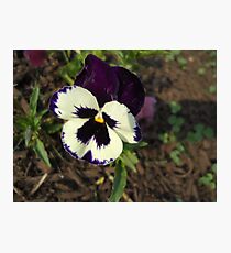 funny face pose Photographic Print