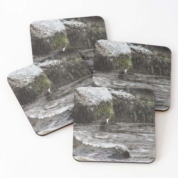 Item preview, Oh yes it 's snowing. White-throated dipper designed and sold by Jouko Lehto Photography.