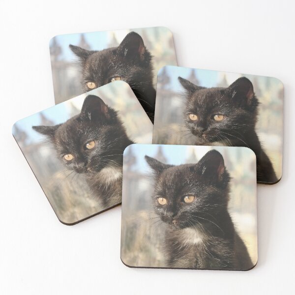Item preview, Black kitten designed and sold by GreyFeatherPhot.