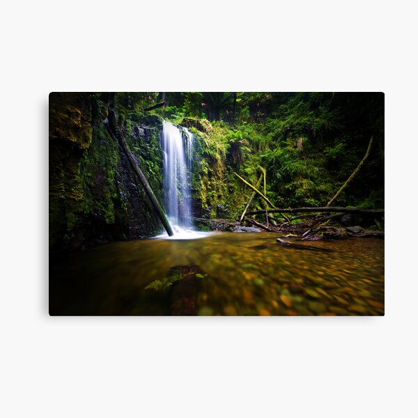 Item preview, Marriners Falls, Great Otway National Park designed and sold by Jason Asher.