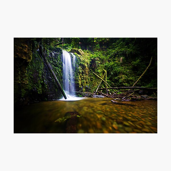 Item preview, Marriners Falls, Great Otway National Park designed and sold by Jason Asher.