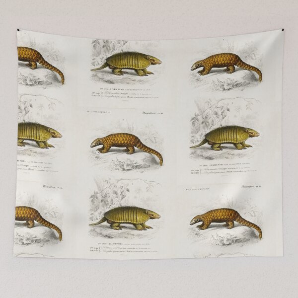 Artikelvorschau, Armadillo vintage illustration entworfen und verkauft von Vintage Designs +.