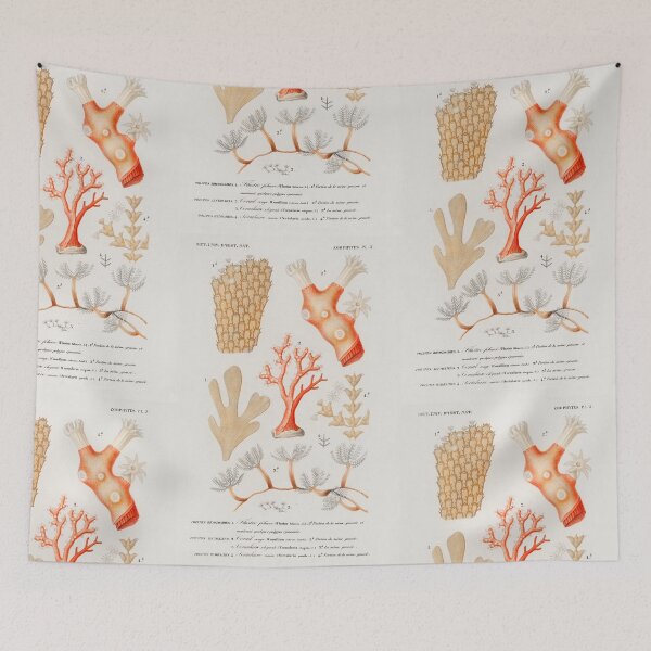 Artikelvorschau, rustic Assorted shells and coral vintage illustration entworfen und verkauft von Vintage Designs +.