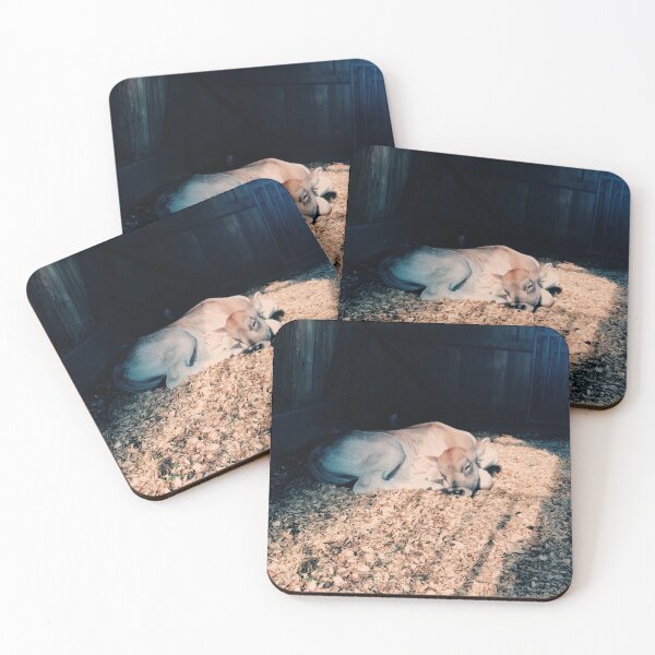 Item preview, ternero durmiendo en el granero designed and sold by Eliza Hartman.