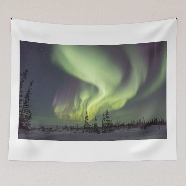Item preview, Aurora Borealis in Churchill, Manitoba designed and sold by cmm1234.