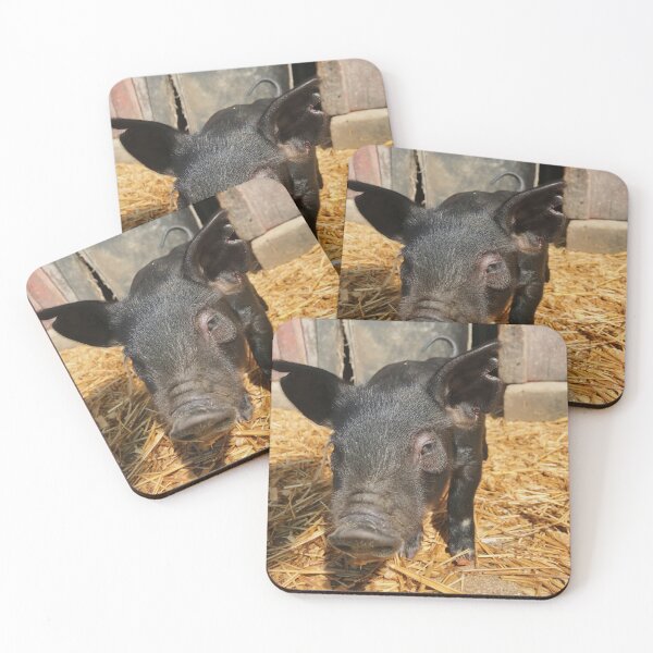 Item preview, adorable black piglet designed and sold by Eliza Hartman.