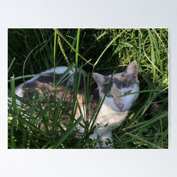 Item preview, farm cat resting in the grass designed and sold by Eliza Hartman.