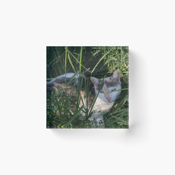 Item preview, farm cat resting in the grass designed and sold by Eliza Hartman.