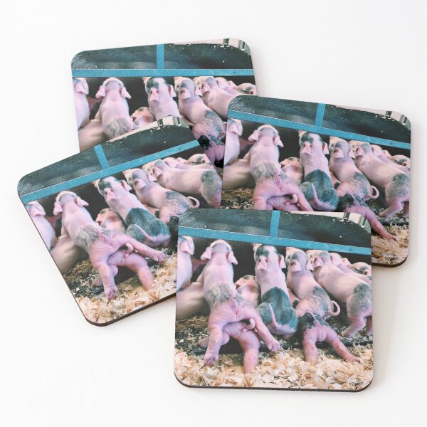 Item preview, baby pigs nursing designed and sold by Eliza Hartman.