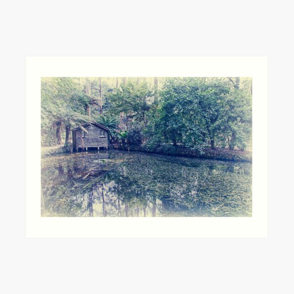 The Boat Shed Art Print
