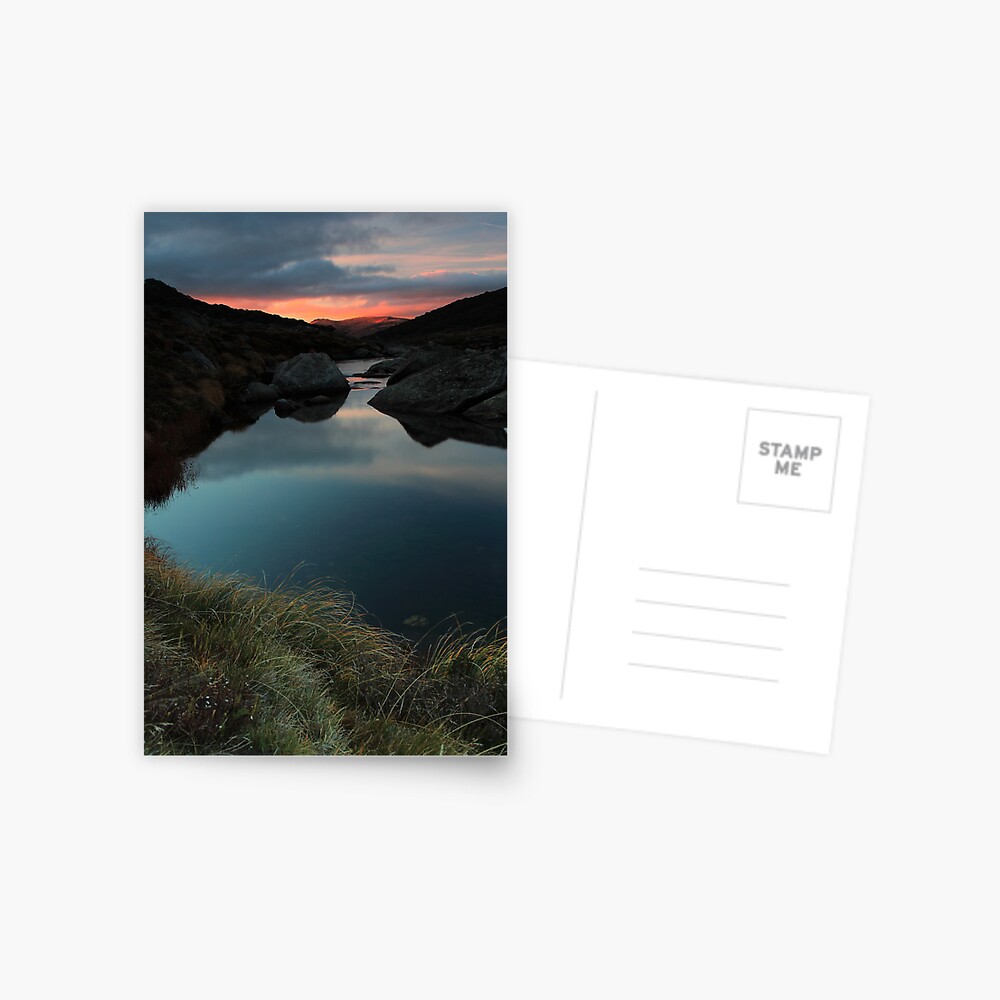 Item preview, Postcard designed and sold by DONWILSON.