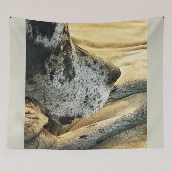 Item preview, MooseDog Nose designed and sold by MooseDogPhotos.