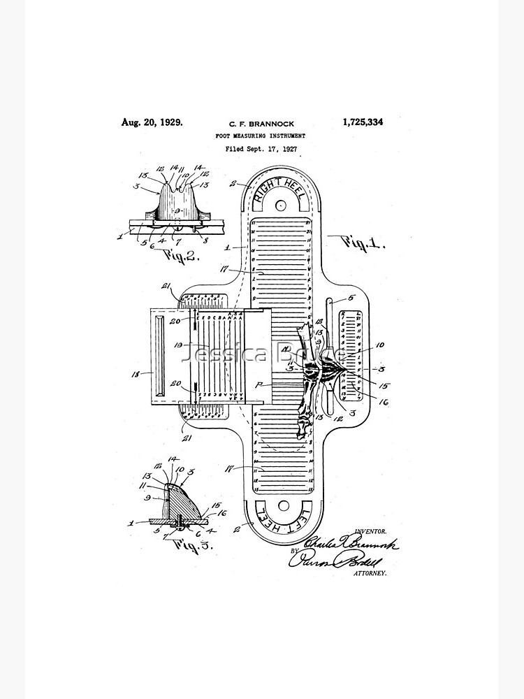 Brannock Shoe Measuring Device