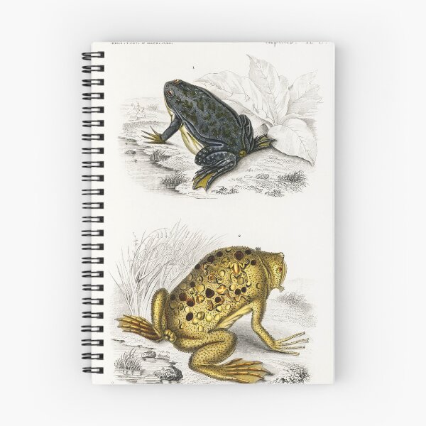 Item preview, Surinam toad vintage illustration  designed and sold by Vintage Designs +.