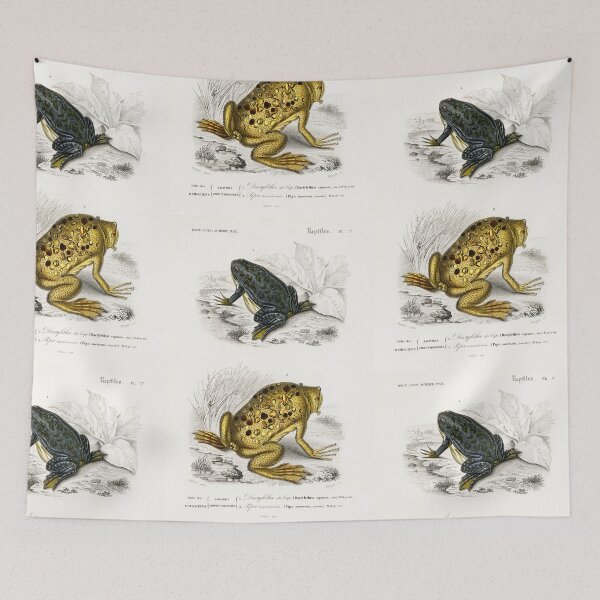 Item preview, Surinam toad vintage illustration  designed and sold by Vintage Designs +.