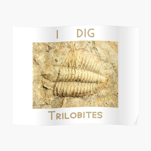 I Dig Trilobites Poster