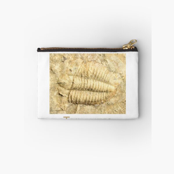 Item preview, I Dig Trilobites designed and sold by Harrisonphoto.