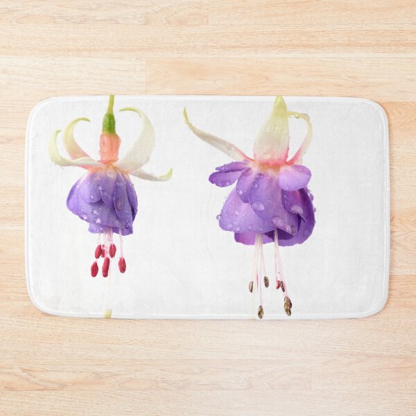 Item preview, Fuchsia 'Prince George' designed and sold by Chris Burrows.
