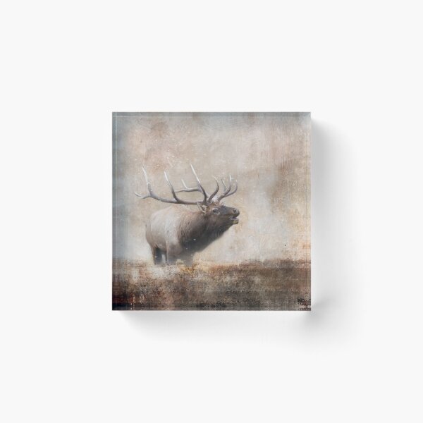 Item preview, Bugling Bull Elk designed and sold by montanaartist.
