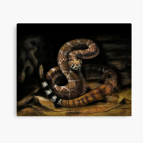 Canvas Print