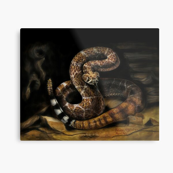 Metal Print