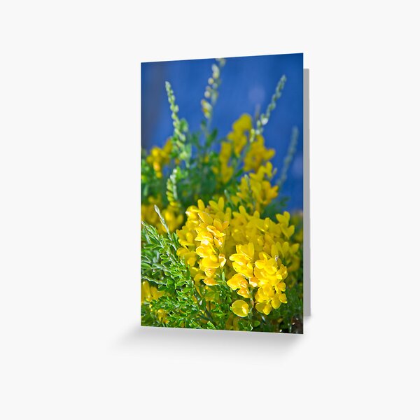 Pretty Yellow Greeting Card
