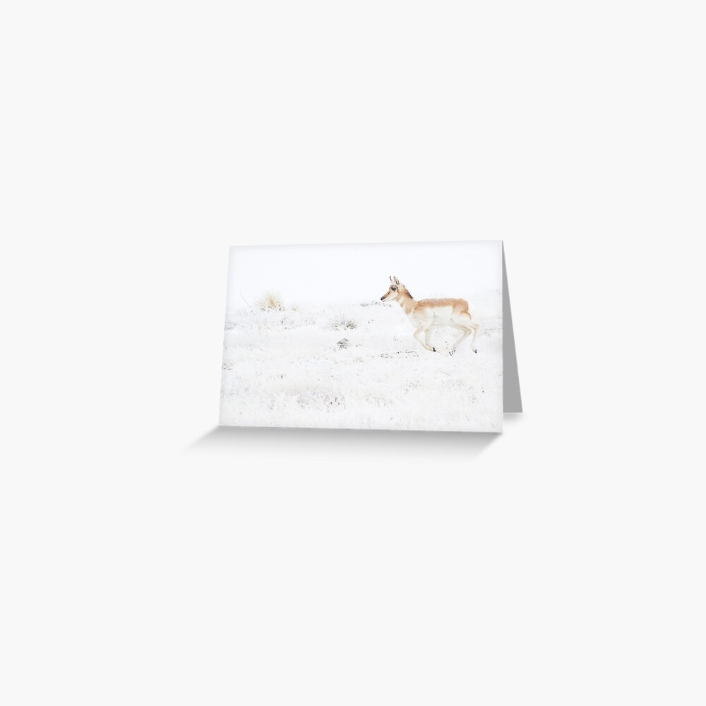 Panic... Catch The Herd Greeting Card