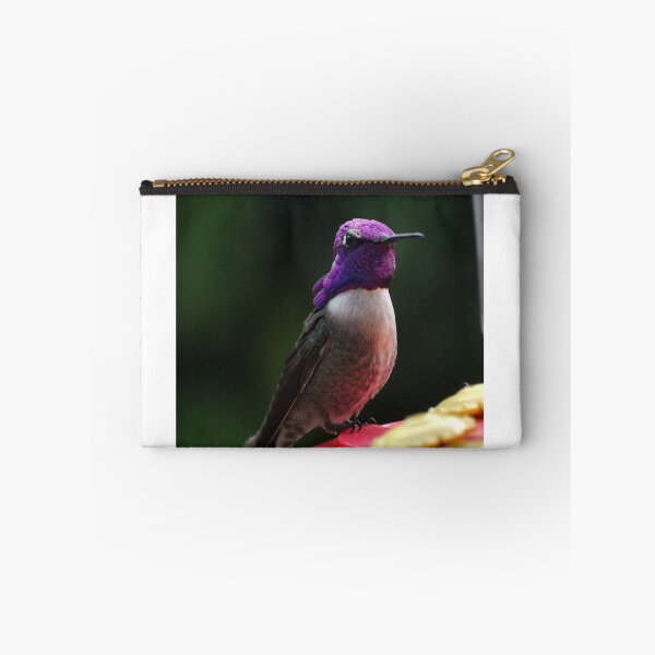 Item preview, HUMMINGBIRD MALE COSTA'S ON PERCH designed and sold by JAYMILO.