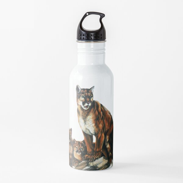 Water Bottle