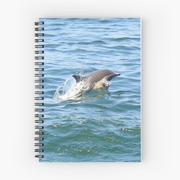 Item preview, Marine Life, Striped Dolphin, Pacific Ocean, California designed and sold by Sandra O'Toole.
