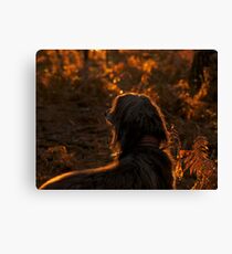 My lovely Jim.... Canvas Print