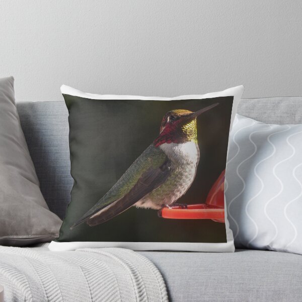 Item preview, HUMMINGBIRD MALE ANNA'S RESTING ON A PERCH designed and sold by JAYMILO.