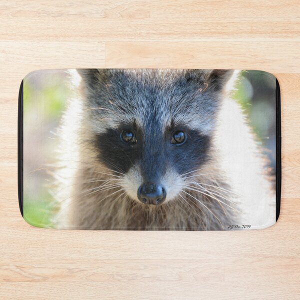 Item preview, Baby Raccoon Close-up designed and sold by Jeff Ore.