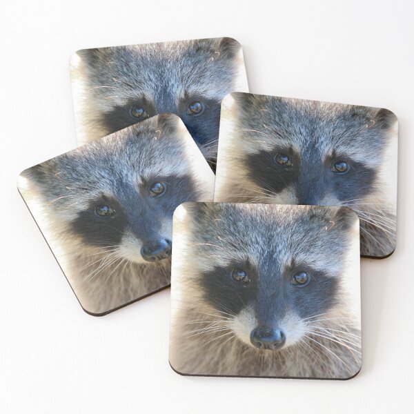 Item preview, Baby Raccoon Close-up designed and sold by Jeff Ore.