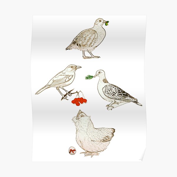 Holiday Birds Poster