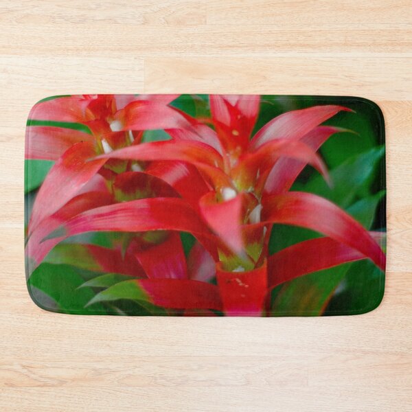 Item preview, Bromeliad Plant designed and sold by Asiantiger247.