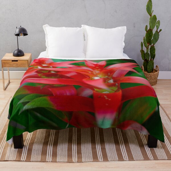 Item preview, Bromeliad Plant designed and sold by Asiantiger247.