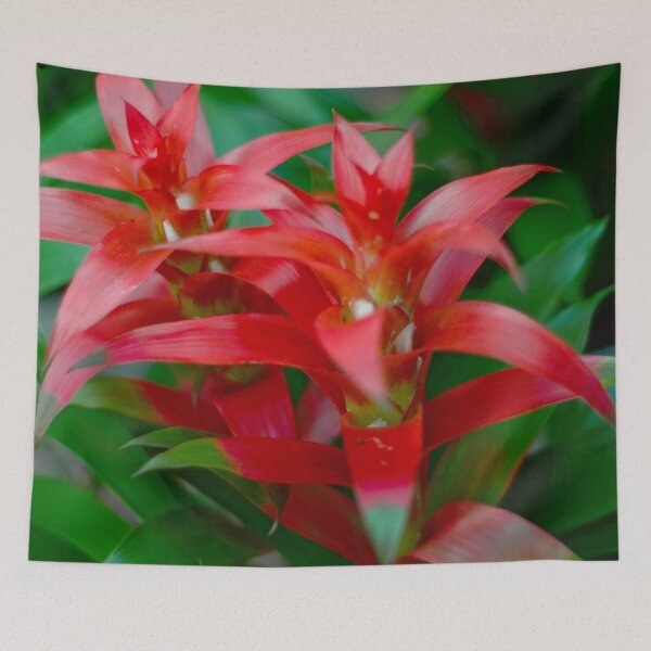 Item preview, Bromeliad Plant designed and sold by Asiantiger247.