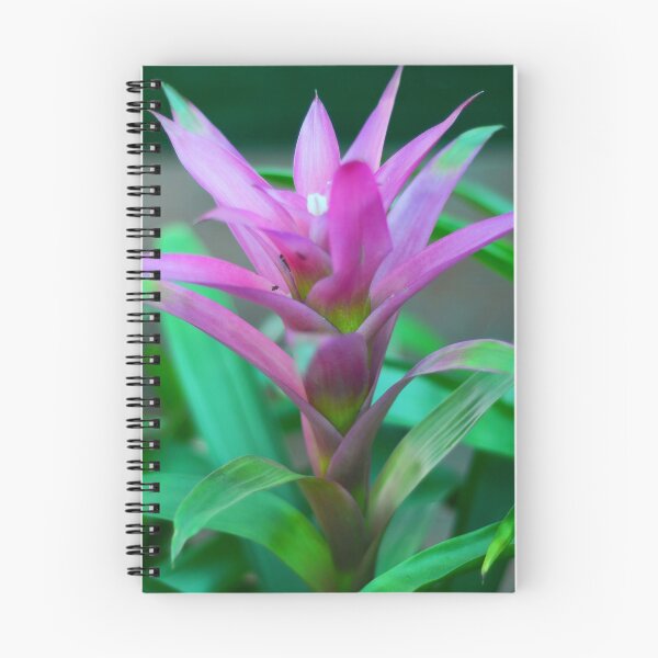 Item preview, Planta de bromelia colorida designed and sold by Asiantiger247.