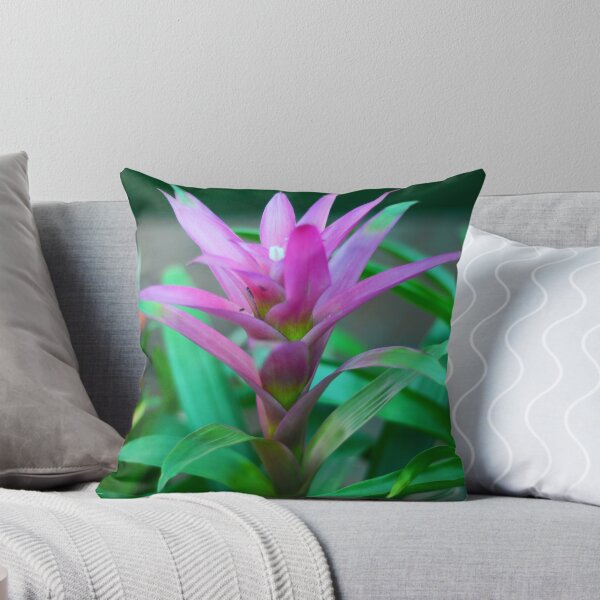 Item preview, Colorful  Bromeliad Plant designed and sold by Asiantiger247.