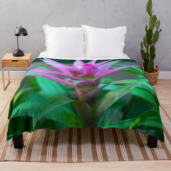 Item preview, Colorful  Bromeliad Plant designed and sold by Asiantiger247.