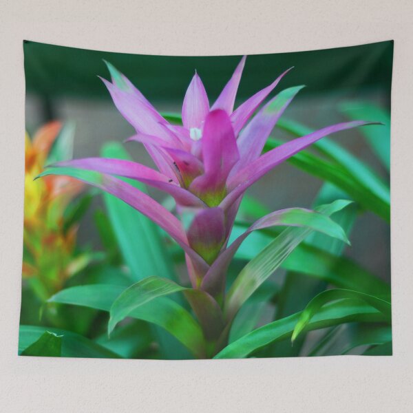 Item preview, Colorful  Bromeliad Plant designed and sold by Asiantiger247.