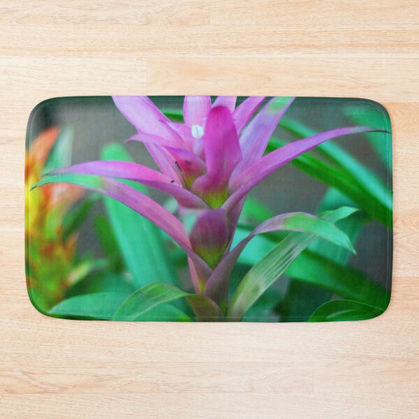 Item preview, Colorful  Bromeliad Plant designed and sold by Asiantiger247.